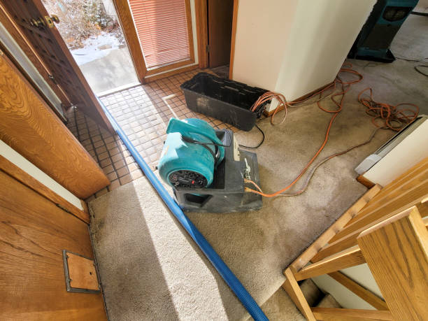 Best Water damage cleanup near me  in Markle, IN