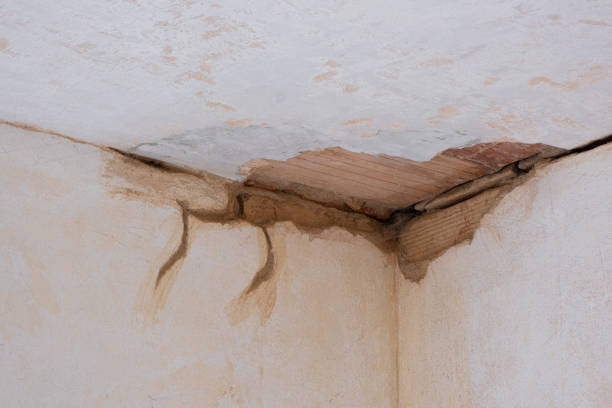 Best Emergency water damage restoration  in Markle, IN